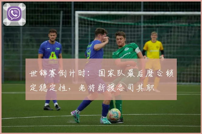世锦赛倒计时：国家队最后磨合锁定稳定性，老将新援各司其职