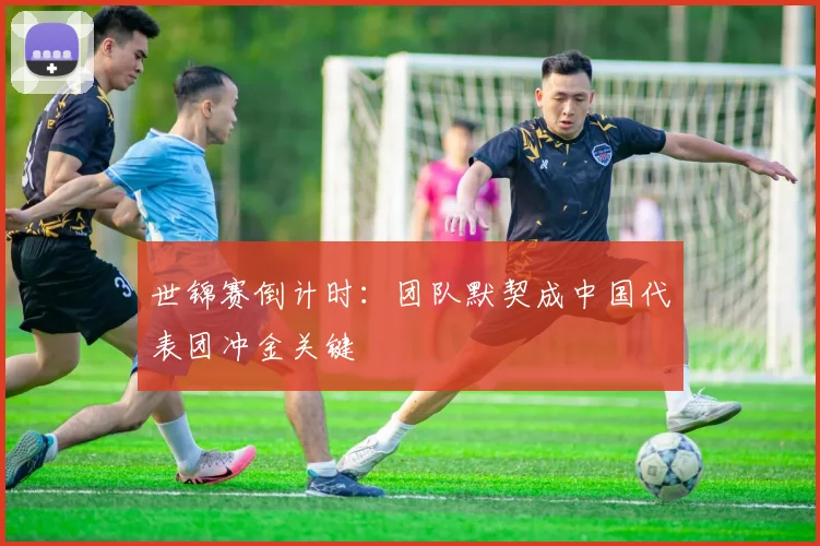 世锦赛倒计时：团队默契成中国代表团冲金关键