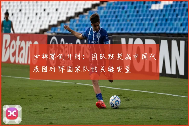 世锦赛倒计时：团队默契成中国代表团对阵国家队的关键变量